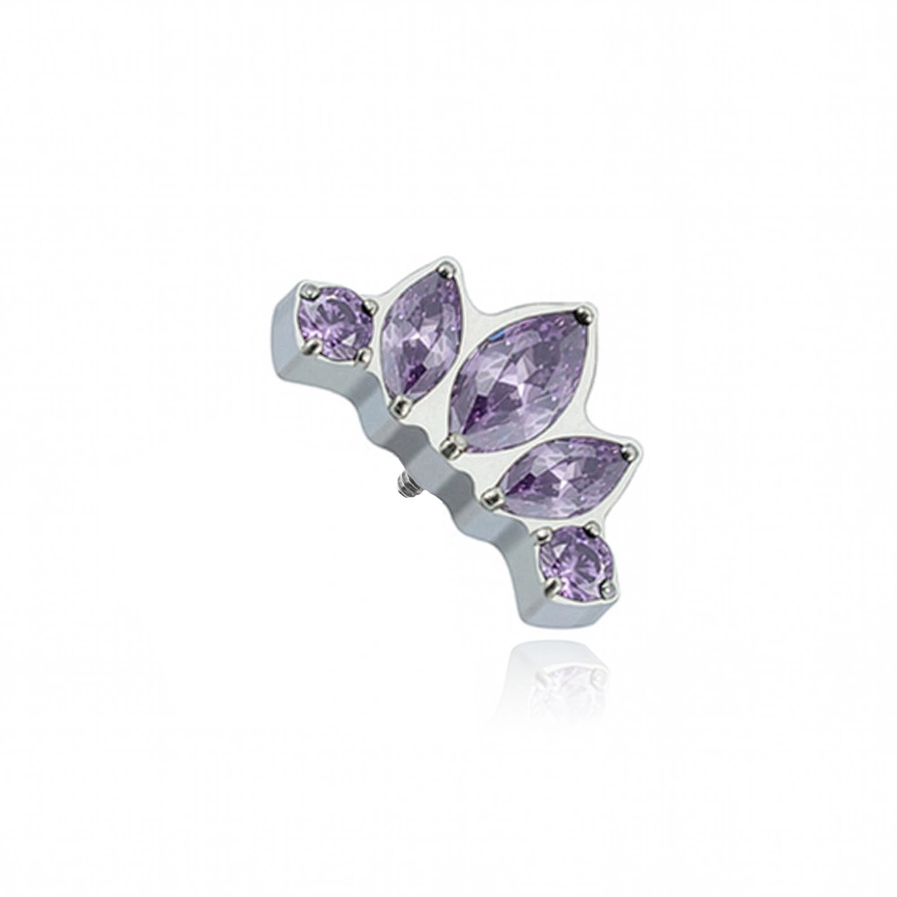 Titanium attachment with purple cubic zirconias silver- TNA-088