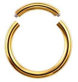 Segment type hoop ring - gold - K-001