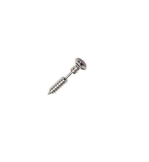 Silver earring / cartilage screw earring - CH-051