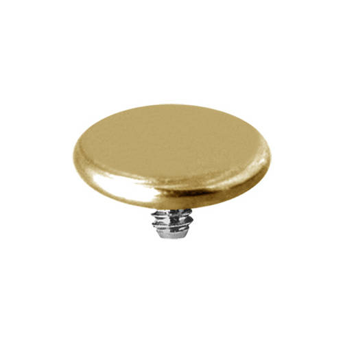 Titanium attachment for pins - disk - gold - TNA-003
