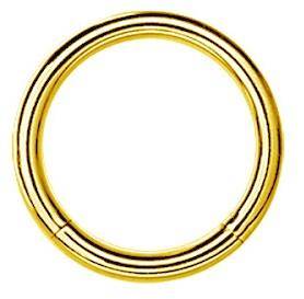 Segment type hoop ring - gold - K-001