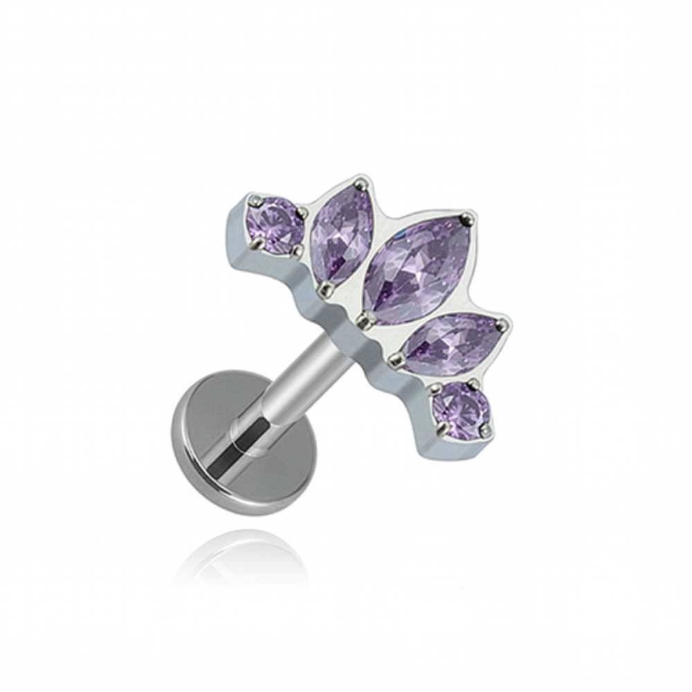 Titanium labret cluster silver with purple zircons