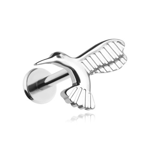 Titanium labret hummingbird - silver