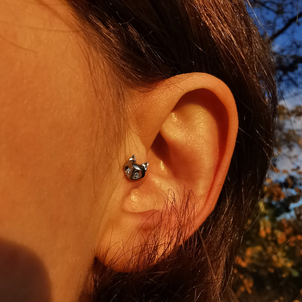 Tytanowa nakrętka lis z białymi cyrkoniami - srebrna - TNA-044