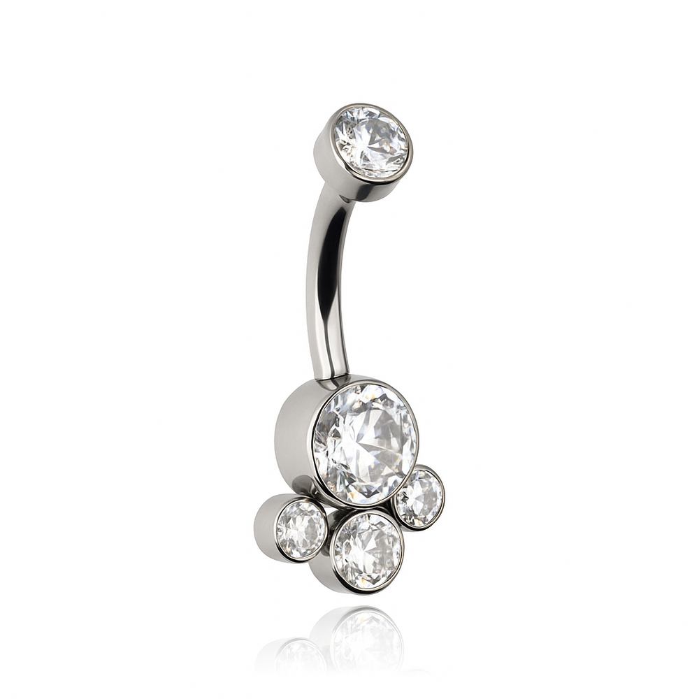 Titanium Earring with White Zirconia - silver - TPP-013