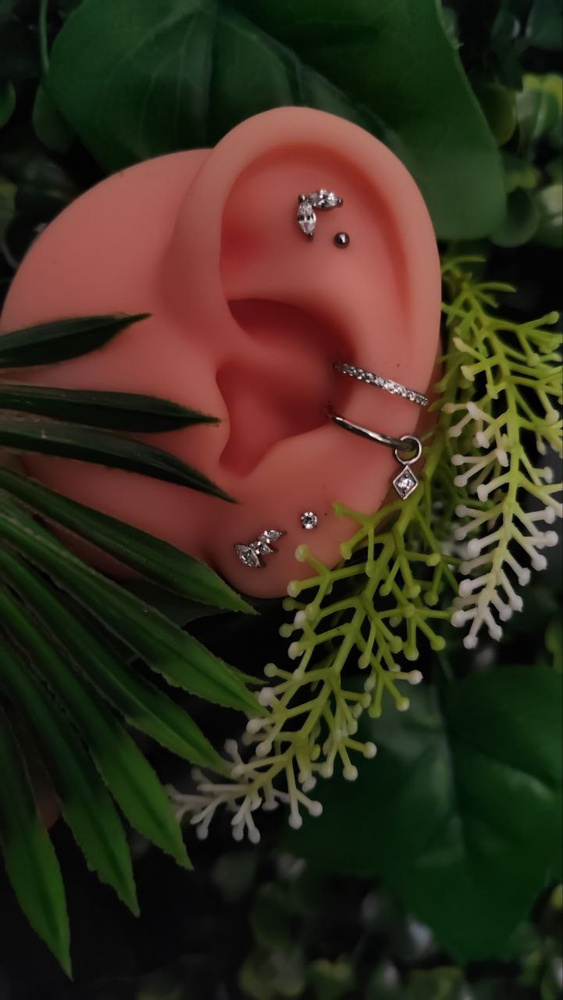 Composition by Julia Wolf