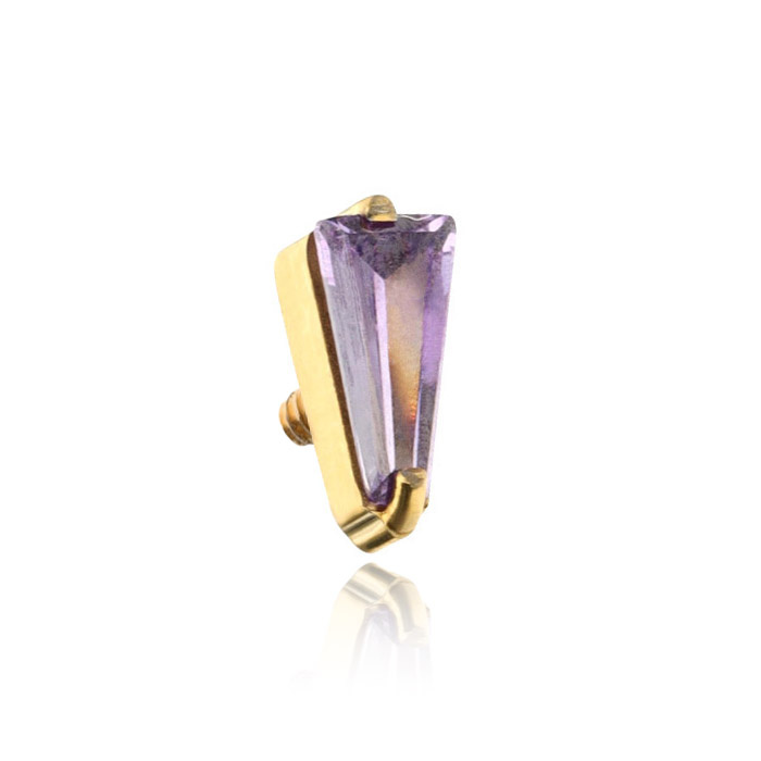 Titanium attachment with purple zirconia gold  - TNA-194