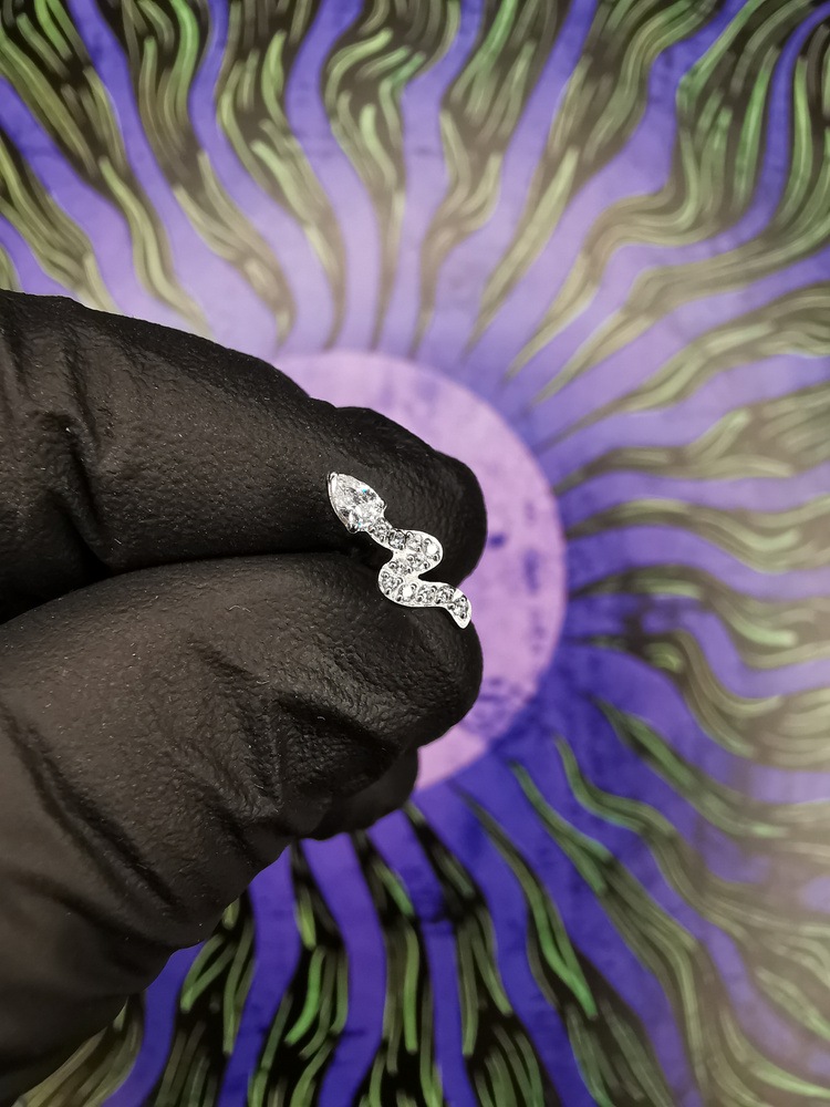 Titanium silver snake labret earring with white zircons - TGW-113