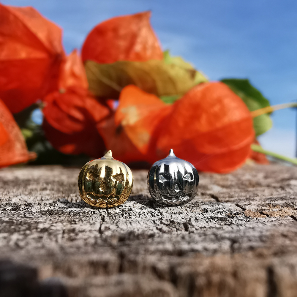 Titanium labret pumpkin  - silver - TGW-157