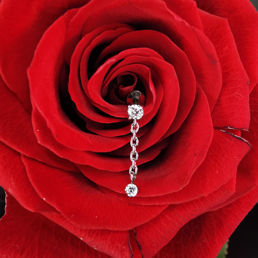 Titanium attachment with white zircons - silver - TNA-094