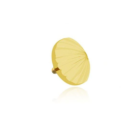 Tytanowa nakrętka muszla - złota - TNA-078