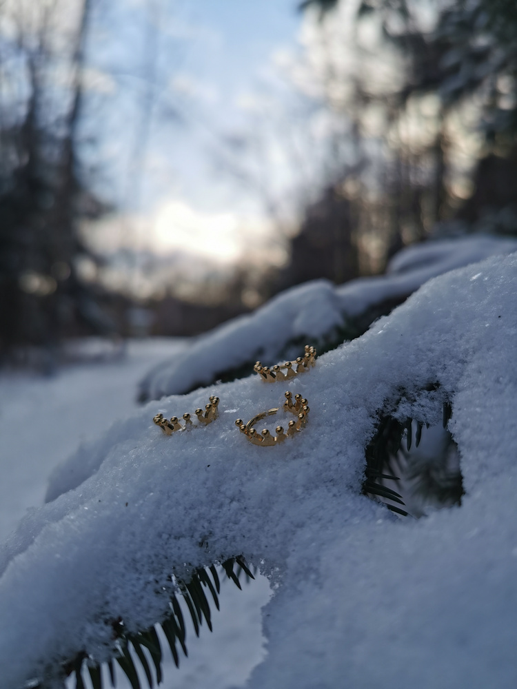 Titanium piercing ring clicker crown - gold - TK-045
